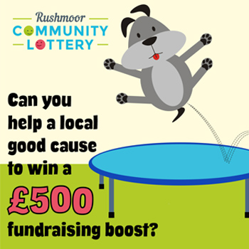 bouncing dog artwork - can you help a local good cause to win a £500 fundraising boost?