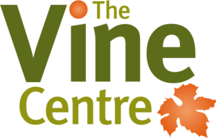 The Vine Centre